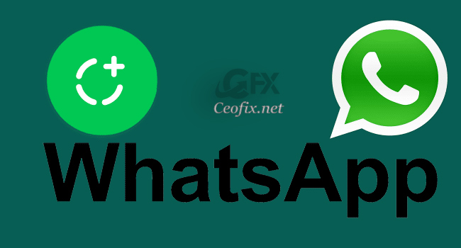 How to Share a GIF, Photos And Videos To Your Whatsapp Status