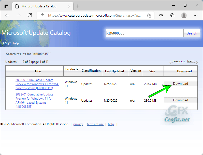 How do I update Windows using Microsoft Update Catalog?