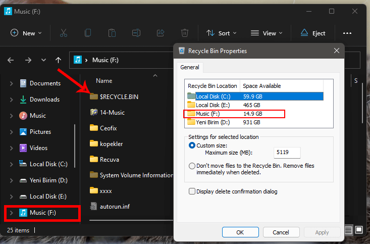 Recycle Bin folder for all the Removable Drives and partitions