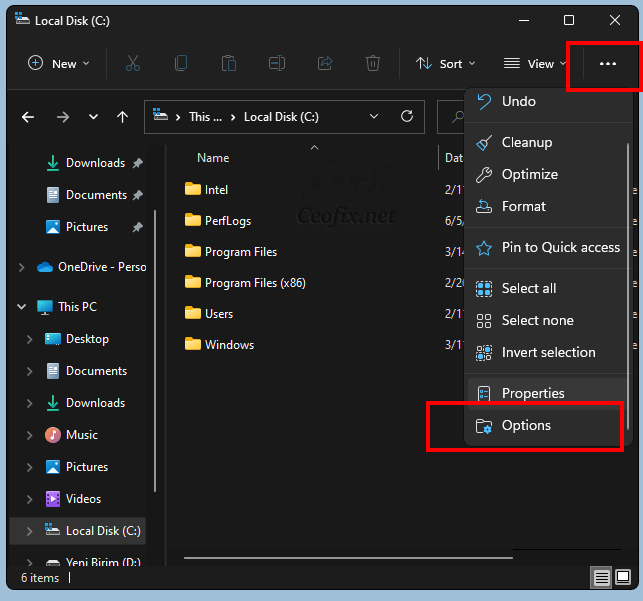 Show Hidden Files and Folders Setting in Windows 11