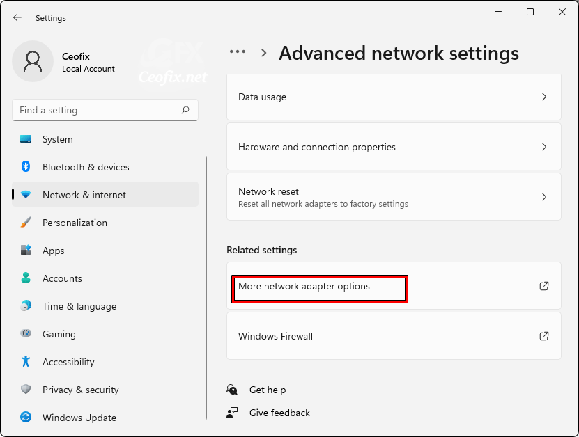network adapter options