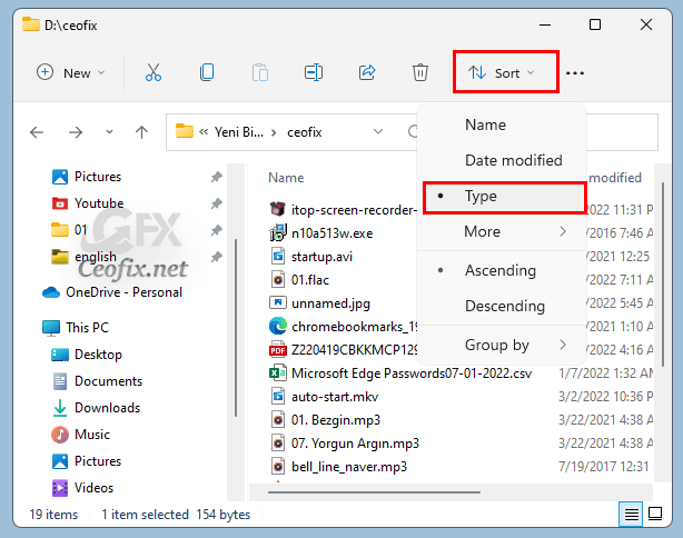 Sort Files by Extension into Separate Folder