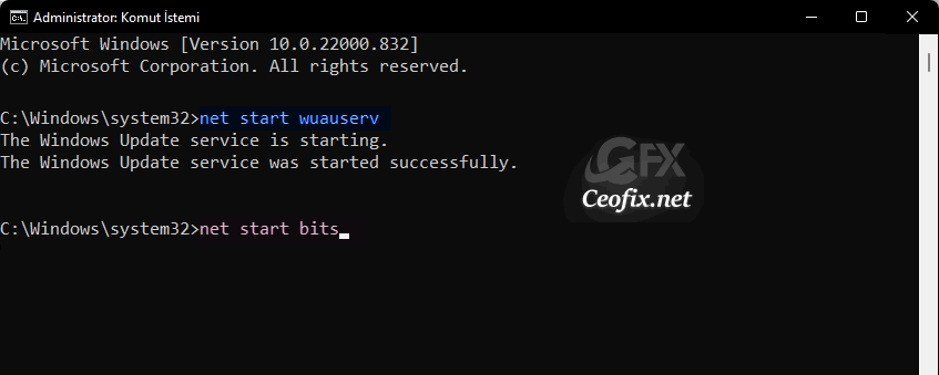 net start wuauserv net start wuauserv
