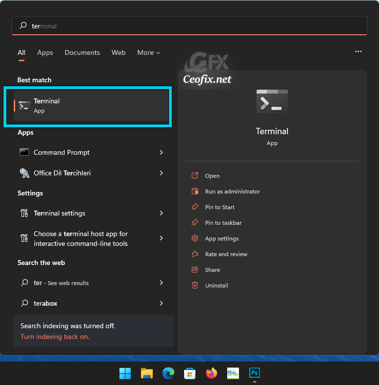 Change the Terminal Theme on Windows 11