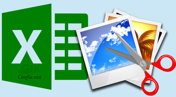 How to Crop a Picture in Excel